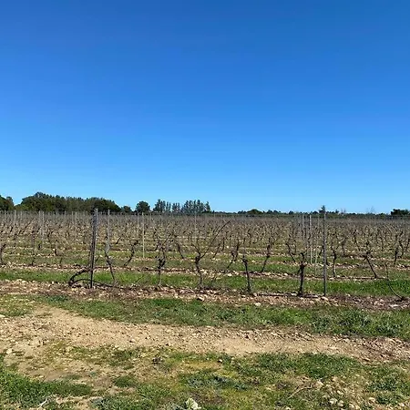 140 M2 Avec Piscine Chauffee